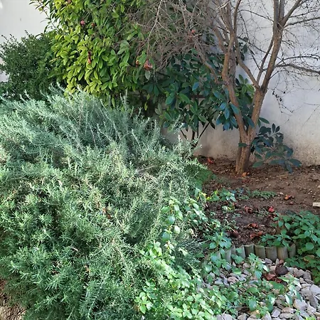 Aura Estiva Apartmán *